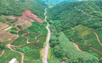 Imagem ilustrativa da imagem Pavimentação de rodovia fortalece agricultura e muda realidade em Itarana