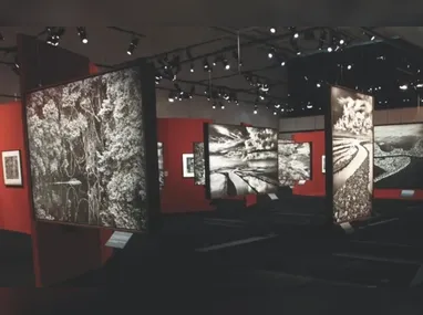 Imagem ilustrativa da imagem 'Amazônia', mostra de Sebastião Salgado, ficará em exposição por três meses no ES