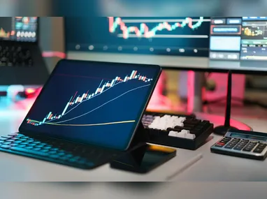 O pagamento é referente ao ano-base 2024