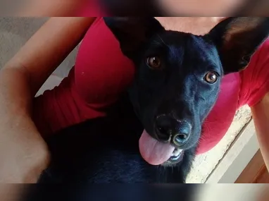 Departamento Especializado de Homicídios e Proteção à Pessoa foram até o local e deram início às investigações