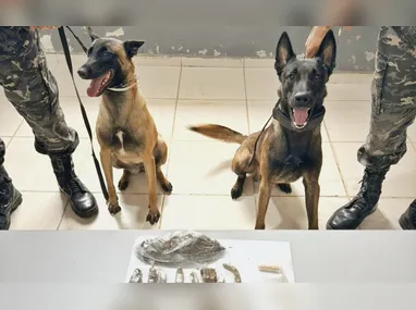 Incêndio em galpão de estabelecimento comercial, em São Geraldo, na Serra