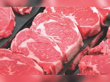 Apresentação do projeto de reforma do Mercado Municipal de São Mateus