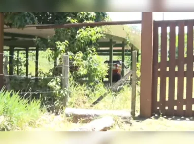 Suspeito foi conduzido à prisão após perseguir vítima até a delegacia