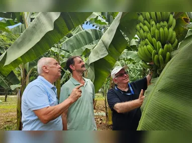 Nova unidade da Coopram: obras