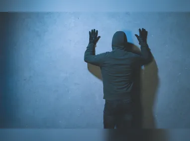 Jacarés foram encontrados em Vitória e na Serra