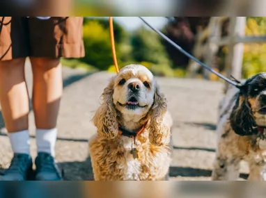 Luiz Inácio Lula da Silva e Pedro Sánchez durante 1ª Cúpula Brasil-Espanha