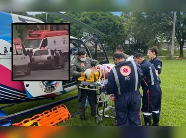 Tartaruga-cabeçuda deve estar colocando seus ovos juntamente com suas “netas”, acreditam especialistas