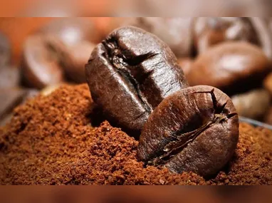 Plenário da Câmara, em Brasília