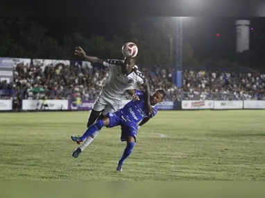 Danilo comemora o gol da vitória botafoguense