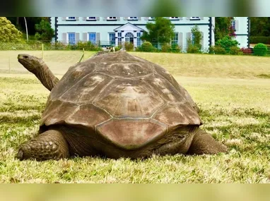 Victor J. Glover – piloto