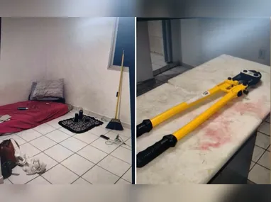 Pretinha era monitorada por moradores e havia sido adotada recentemente