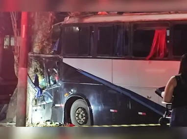 Imagem ilustrativa da imagem Motorista morre após ônibus colidir com árvore na BR-262 em Marechal Floriano