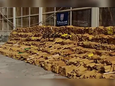 Imagem ilustrativa da imagem PM apreende 48 toneladas de maconha em bunker no Complexo da Maré, no Rio