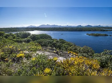 Hotel Go Inn, em São Mateus, une localização estratégica, conforto e restaurante na cobertura com vista da cidade, além de ser pet friendly e aberto ao público