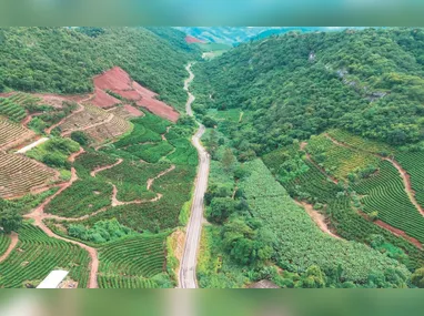 Prefeitura de Presidente Kennedy informou que registros de acessos externos comprometeram a senha do e-mail