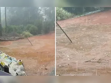 Os ocupantes do veículo não se feriram e foram retirados do local