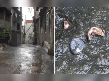 Unidade do INSS em Vitória: fraude na pensão por morte ultrapassa R$ 600 mil