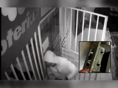 Durante a abordagem, o casal assumiu a responsabilidade pelo transporte e propriedade das mercadorias