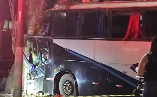 Imagem ilustrativa da imagem Motorista morre após ônibus colidir com árvore na BR-262 em Marechal Floriano