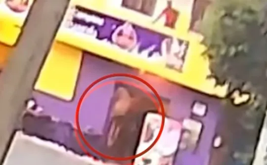 Imagem ilustrativa da imagem VÍDEO | Homem se joga de prédio após ser esfaqueado em Aracruz