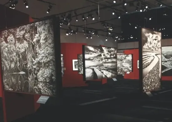 Imagem ilustrativa da imagem 'Amazônia', mostra de Sebastião Salgado, ficará em exposição por três meses no ES