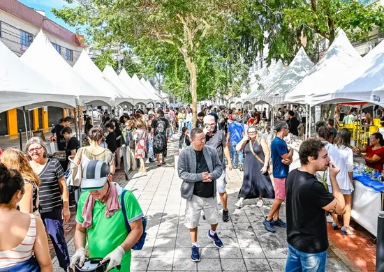 Imagem ilustrativa da imagem Feira de Antiguidades acontece neste sábado na Rua da Lama