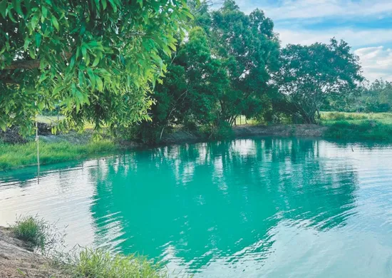 Imagem ilustrativa da imagem Itapemirim além das praias: conheça as atrações turísticas da cidade