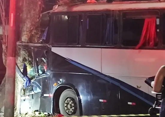 Imagem ilustrativa da imagem Motorista morre após ônibus colidir com árvore na BR-262 em Marechal Floriano