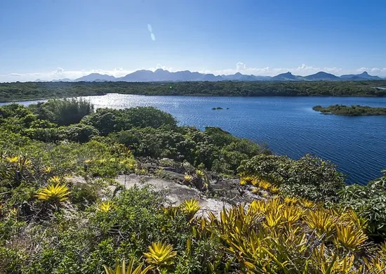 Imagem ilustrativa da imagem Parques Estaduais do ES são opção para curtir o Carnaval longe da agitação
