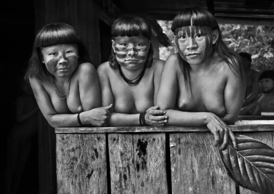 Imagem ilustrativa da imagem Veja como conseguir ingressos para a exposição de Sebastião Salgado no ES