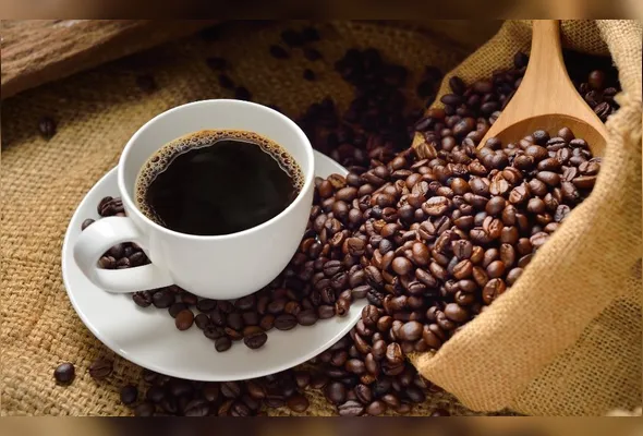 Imagem ilustrativa da imagem O café em cartaz