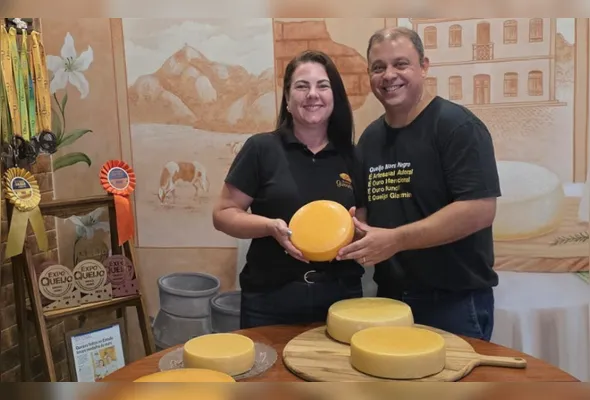 Imagem ilustrativa da imagem Queijos produzidos no Espírito Santo conquistam 12 medalhas