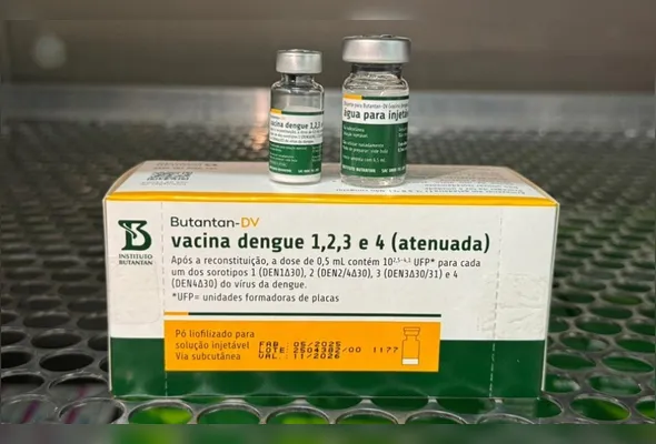 Primeira remessa do imunizante nacional chegou ao Estado nesta quinta (19)