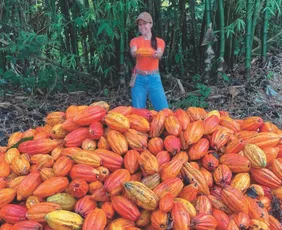 Imagem ilustrativa da imagem Como nova lei vai mudar o chocolate no Brasil
