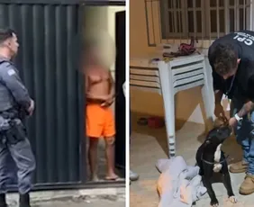 Imagem ilustrativa da imagem Homem é preso após ser flagrado agredindo cachorro com chinelo no Sul do ES