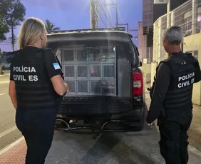 Imagem ilustrativa da imagem Investigados por estupro de vulnerável são presos no ES durante operação nacional