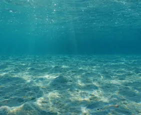 Imagem ilustrativa da imagem Superfície dos oceanos tem a segunda mais alta temperatura já registrada