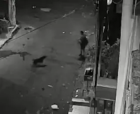 Imagem ilustrativa da imagem VÍDEO | Mulher é atacada por pitbull em rua de Cariacica; vítima está hospitalizada