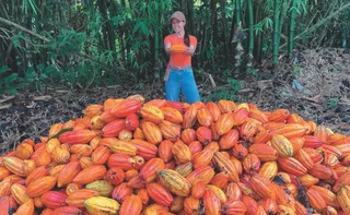 Imagem ilustrativa da imagem Como nova lei vai mudar o chocolate no Brasil
