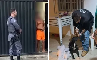 Imagem ilustrativa da imagem Homem é preso após ser flagrado agredindo cachorro com chinelo no Sul do ES
