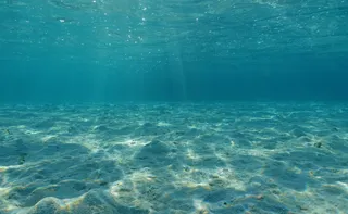 Imagem ilustrativa da imagem Superfície dos oceanos tem a segunda mais alta temperatura já registrada
