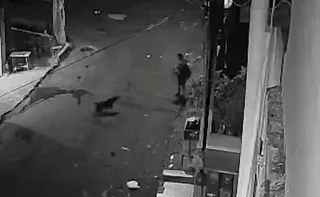 Imagem ilustrativa da imagem VÍDEO | Mulher é atacada por pitbull em rua de Cariacica; vítima está hospitalizada