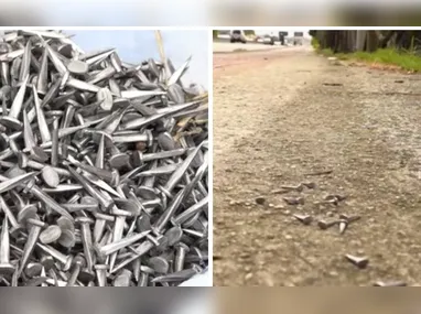Animal foi flagrado por pessoas que navegavam no Rio Piraquê-Açu