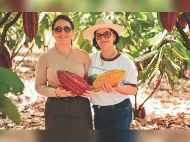 Imagem ilustrativa da imagem Falta de mão de obra é maior desafio para a fruticultura no ES