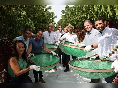 Irrigação em cafezal: novas tecnologias disponíveis no mercado contribuem para o uso eficiente da água