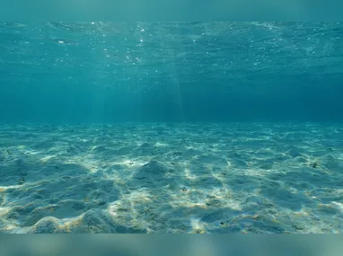 Imagem ilustrativa da imagem Superfície dos oceanos tem a segunda mais alta temperatura já registrada