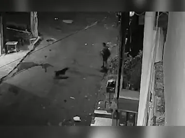 Imagem ilustrativa da imagem VÍDEO | Mulher é atacada por pitbull em rua de Cariacica; vítima está hospitalizada