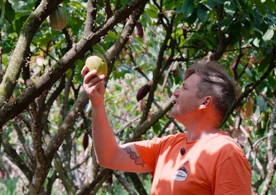 Imagem ilustrativa da imagem De floresta de cacau a produção de cerveja artesanal em Santa Teresa