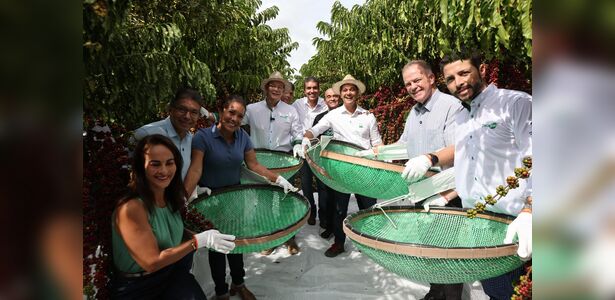Governo do ES abre oficialmente a colheita de café