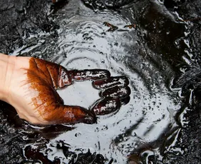 Imagem ilustrativa da imagem BW Energy vai triplicar produção de petróleo a partir de 2029